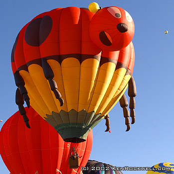 Ladybug Balloon