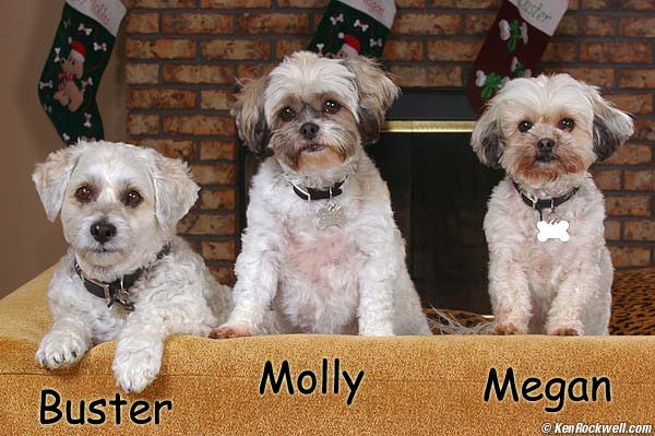 Megan, Molly and Buster