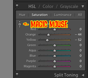 Magic Mouse