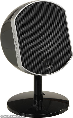 Focal Little Bird