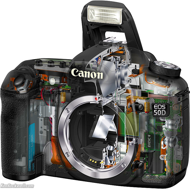 50d cutaway