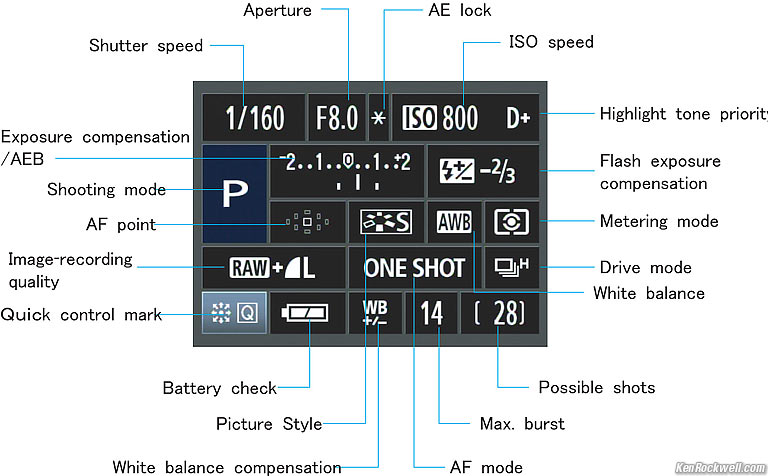 50D info displau