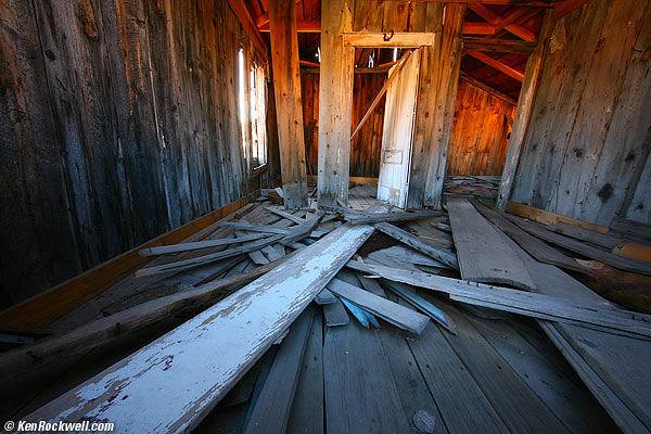 Bodie
