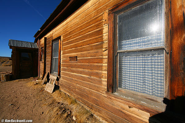 Bodie