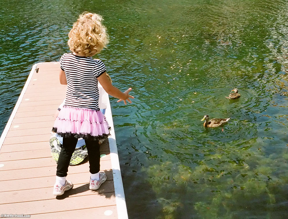 Katie feeding the duck at Lake Arrowhead,