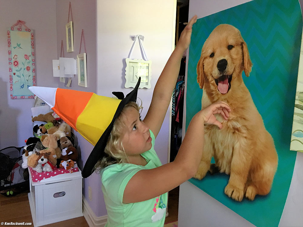 Katie mounts her puppy poster that she got at the book fair while wearing her candy-corn witch hat