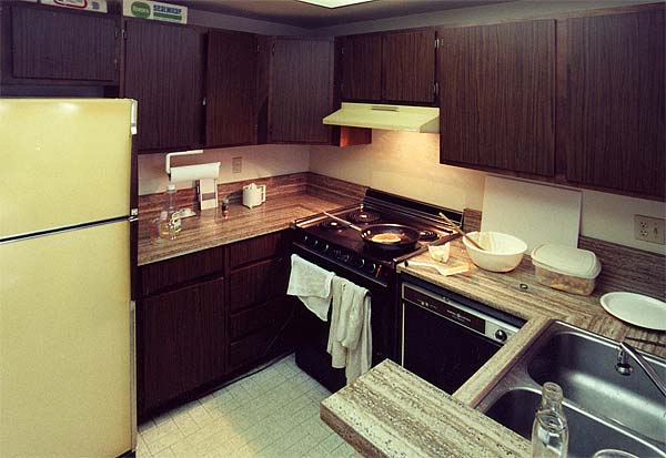La Jolla Mesa Estates Kitchen 1988