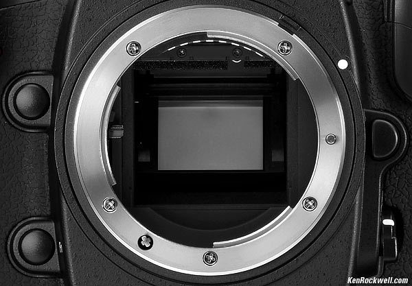 Nikon D300 Lens Mount