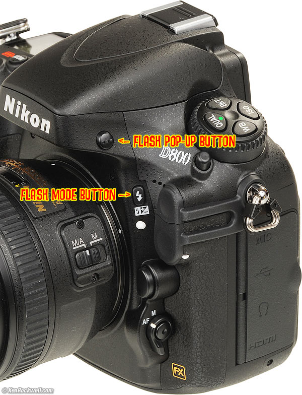 Nikon D800 and D800E