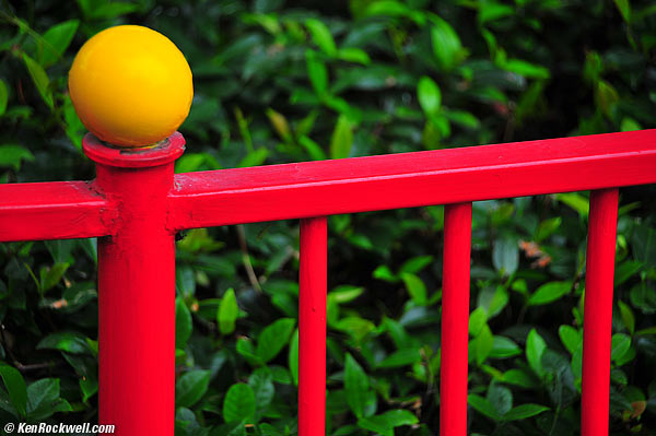 Fence Post