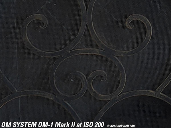 OM SYSTEM OM-1 Mark II High ISO Sample Image File
