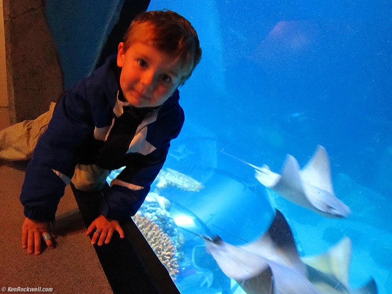 Ryan at Sea Life Aquarium