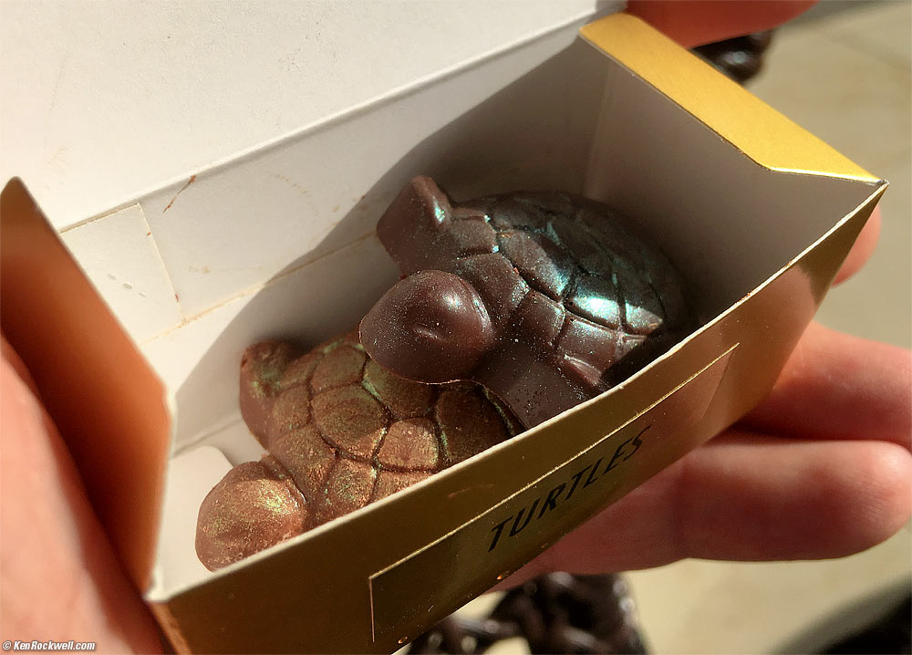 Katie got Ryan some turtle chocolates