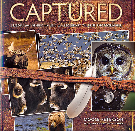 Moose Peterson: Captured