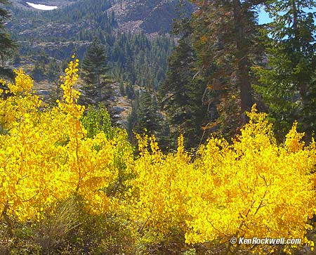 Fall Color, Old Mammoth Road