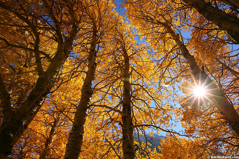 June Lake Loop, 19 October 2007