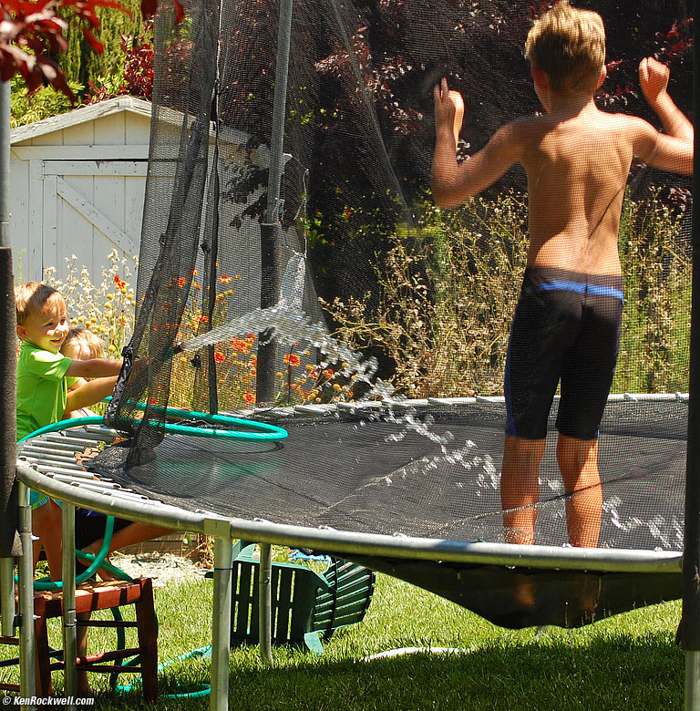 Ryan and Hose, Aunt Lisa's Back Yard, 1:58 PM. video. 