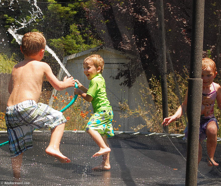 Ryan and Hose, Aunt Lisa's Back Yard, 2:10 PM. video. 