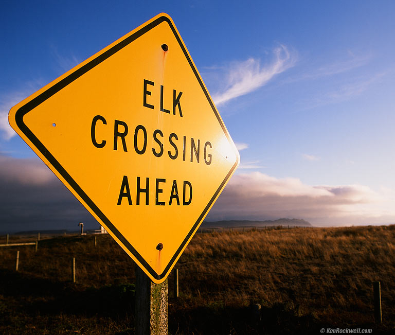 Elk Crossing, West Marin, 7:05 PM.