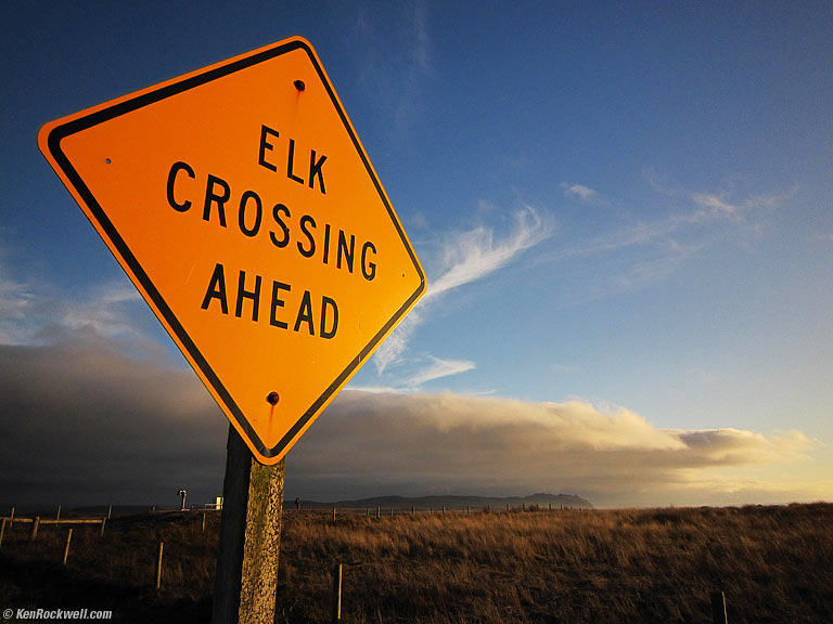 Elk Crossing, West Marin, California, 6:56 PM.