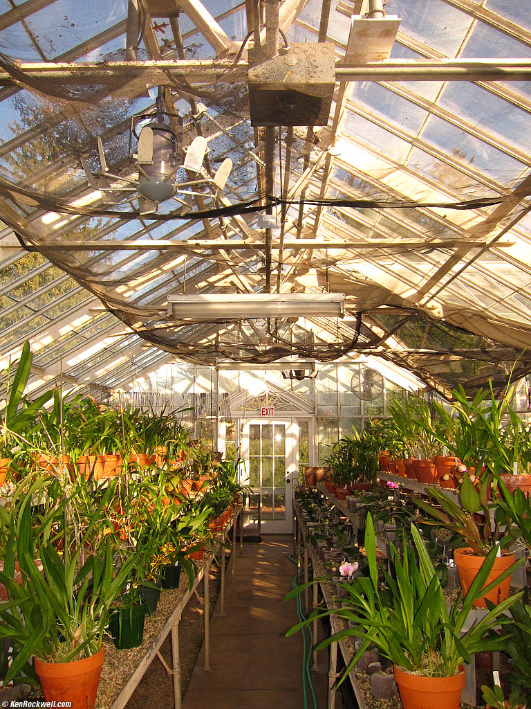 Greenhouse, Planting Fields Arboretum, Oyster Bay, Long Island
