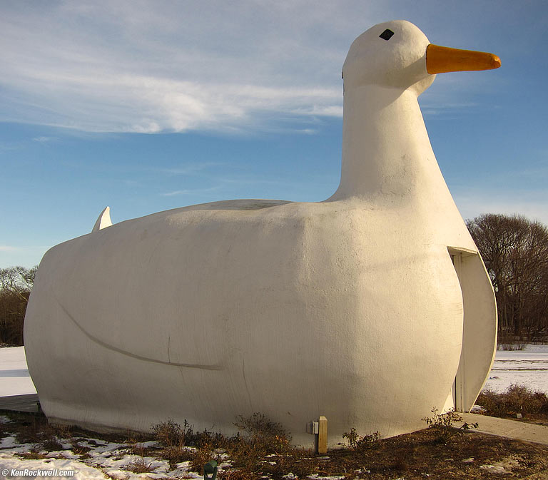 The Big Duck, Flanders, Long Island
