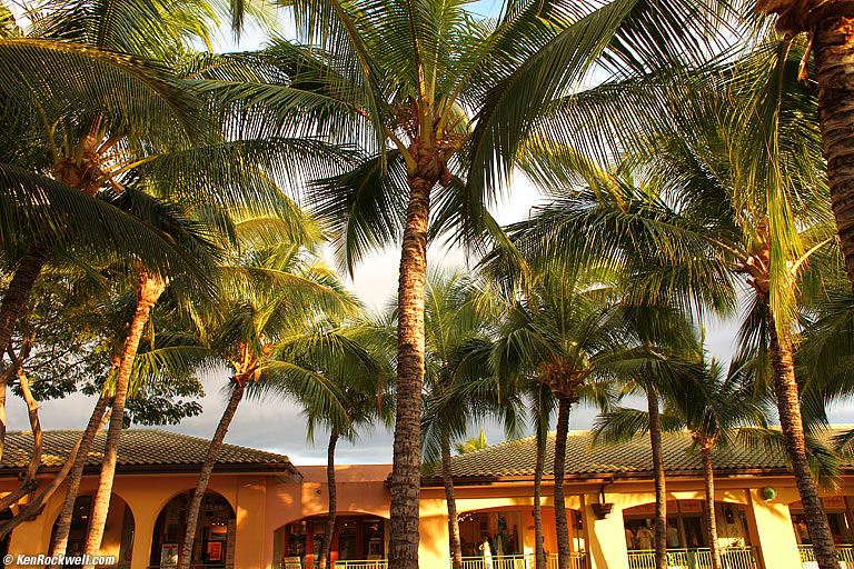 Palms, tourist mall, Wailea, Maui. 6:07 PM.