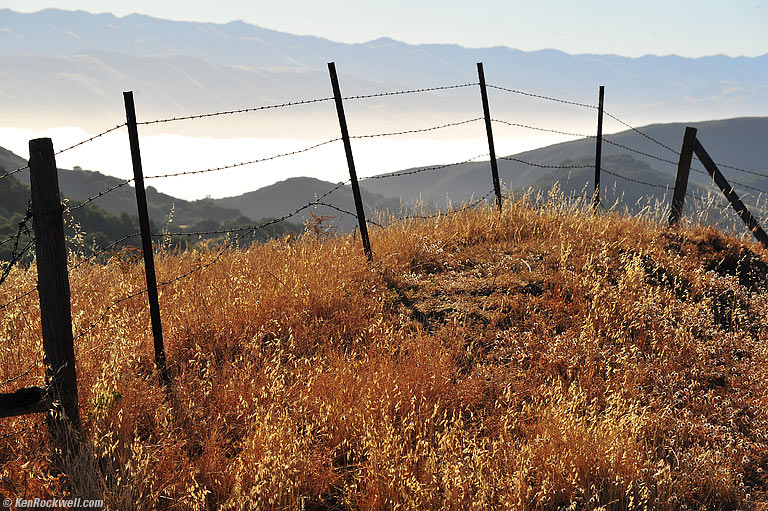 Fence and Distant Fog, Prefumo Canyon, San Luis Obispo, California, 7:37 AM.