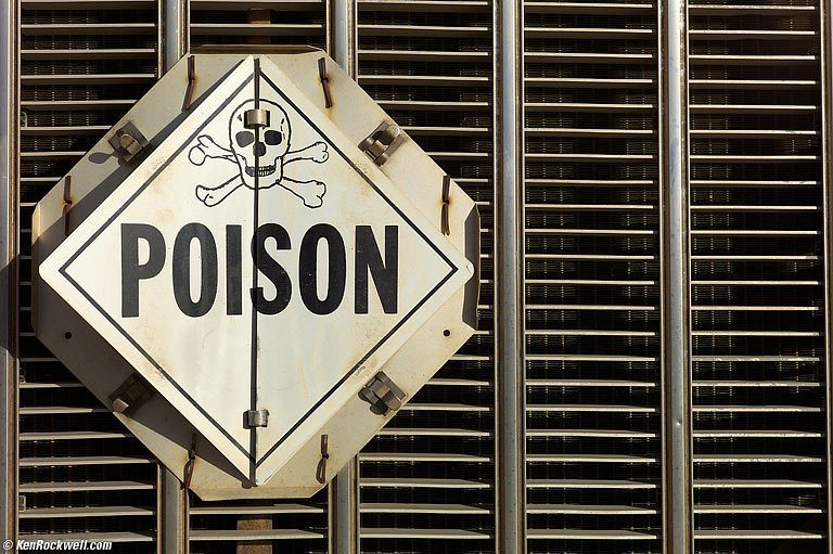 Poison, 8:13 AM. (Auto ISO 160, Auto 1/500, 1957 LEICA SUMMICRON 50mm f/2 with near-focussing range.)