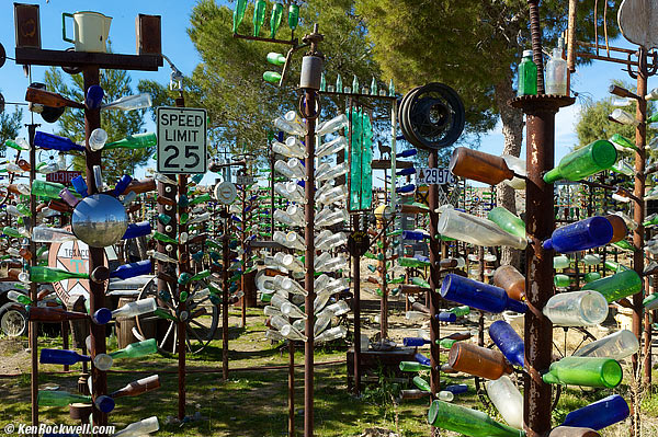 Bottle Trees, Feb 2011