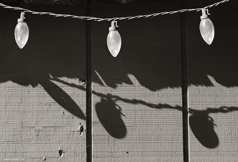 Three Bulbs casting shadows in black and white