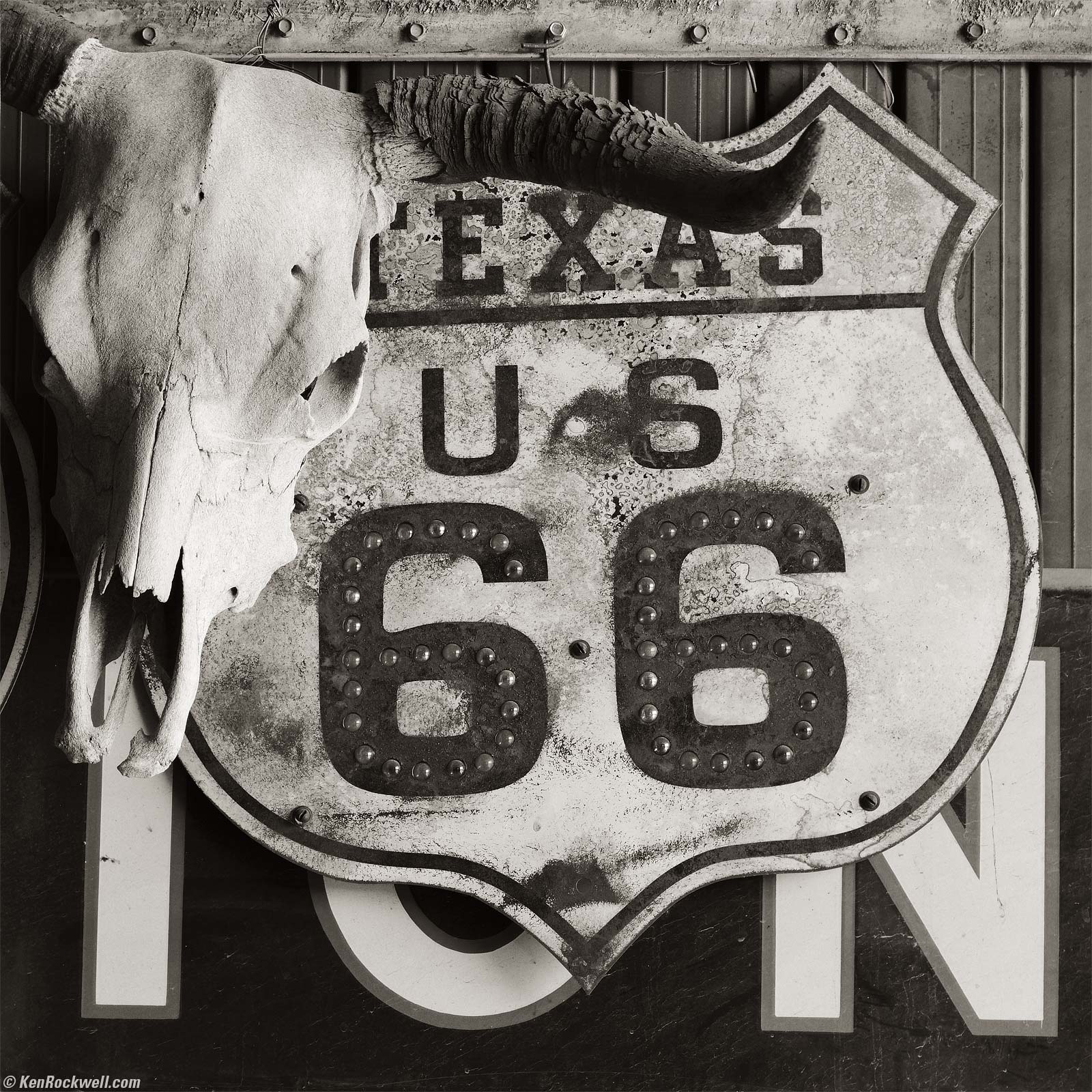 Texas Route 66 Sign with Skull