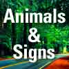Animals & Signs
