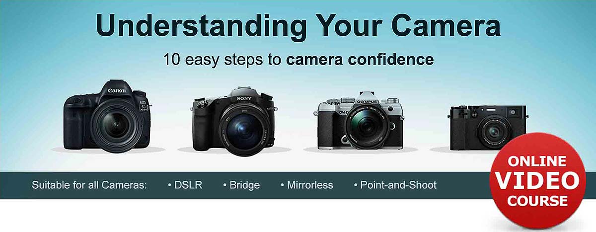 Canon EOS R10 vs Nikon Z50 - The 10 Main Differences - Mirrorless Comparison
