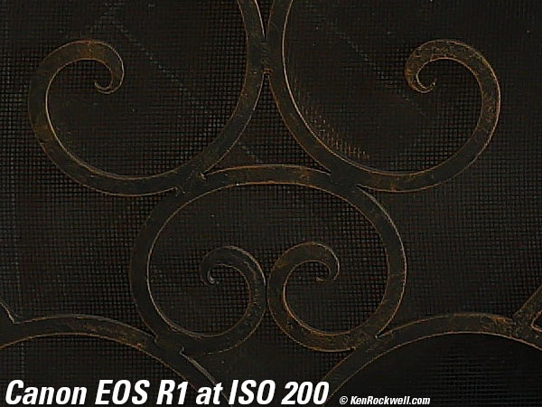 Canon EOS R1 High ISO Sample Image Files