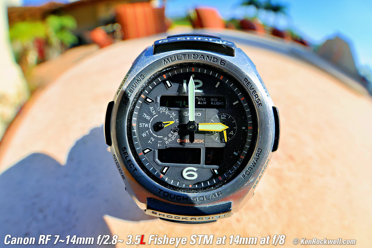 Canon RF 7-14mm Fisheye Macro performance sample image