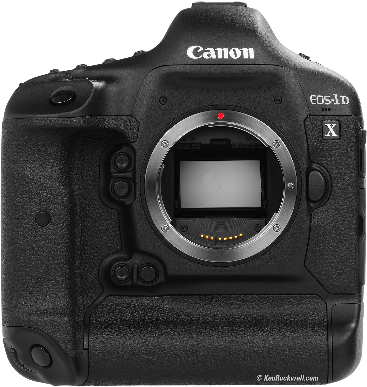 Canon 1D X Review