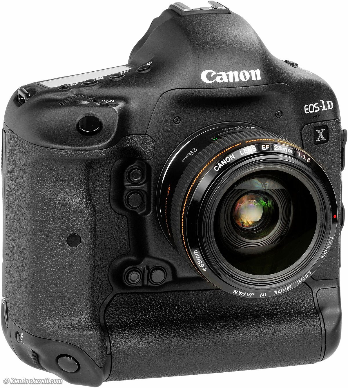 canon 1dx body