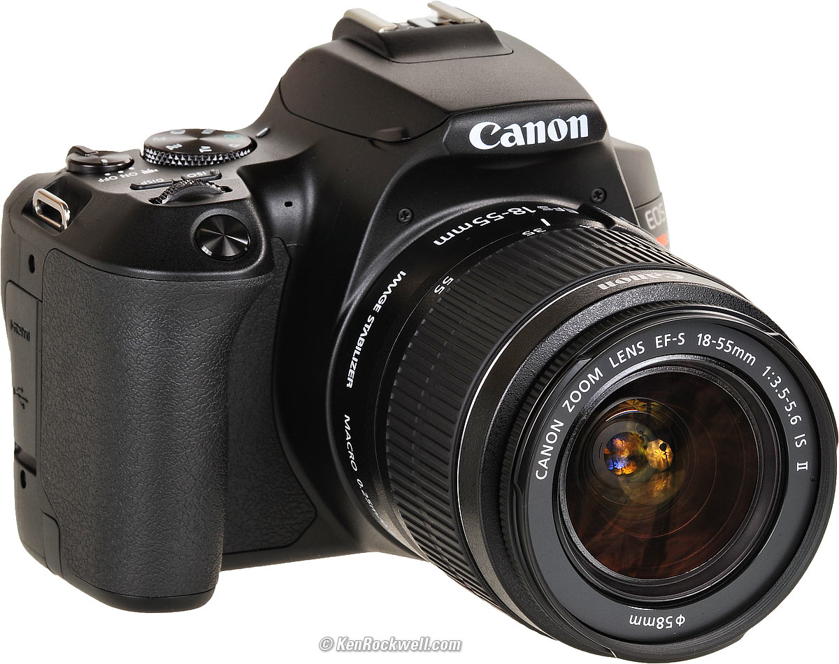 Canon EOS 250D / Rebel SL3 DSLR Camera w/ 18-55mm F/3.5-5.6 III Lens :  Electronics 