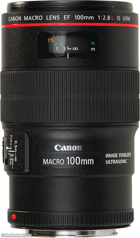 Canon 100mm Macro Lenses Compared