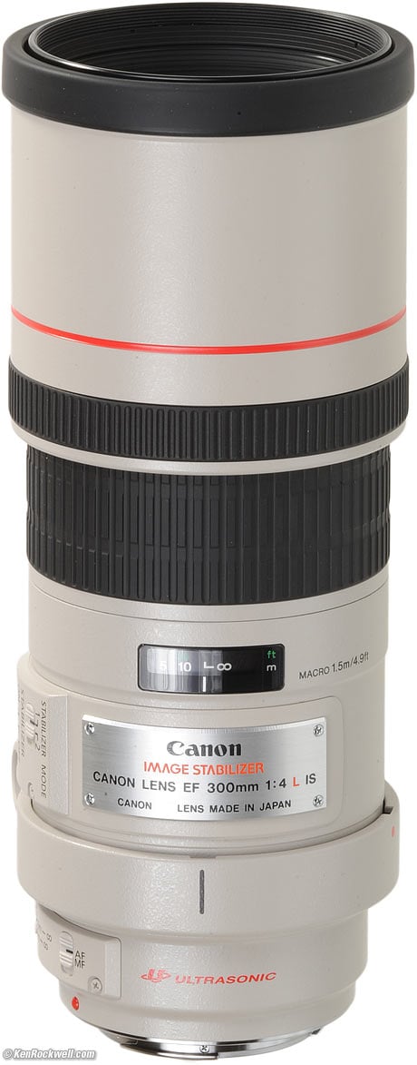 Canon 300mm f/4 IS L Review
