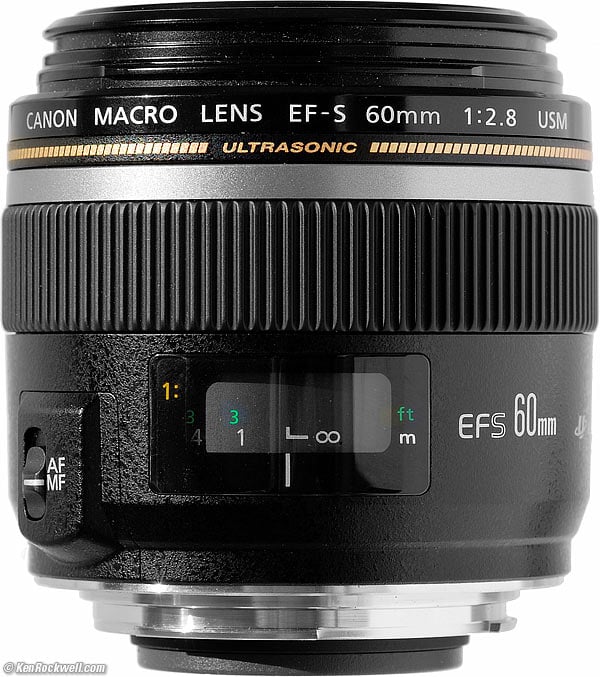 best canon macro lens for 60d