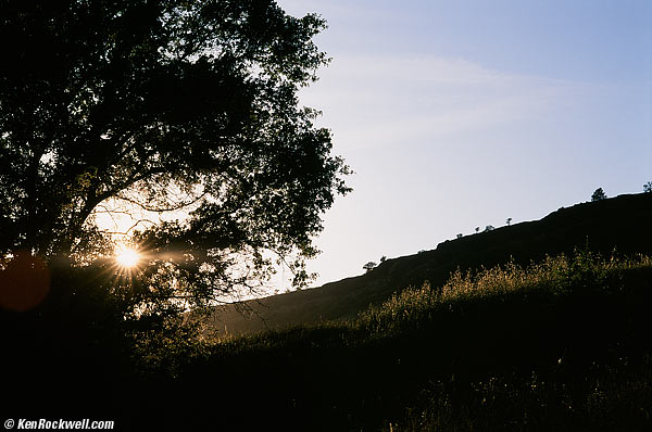 Leica 35mm SUMMILUX Sunstar