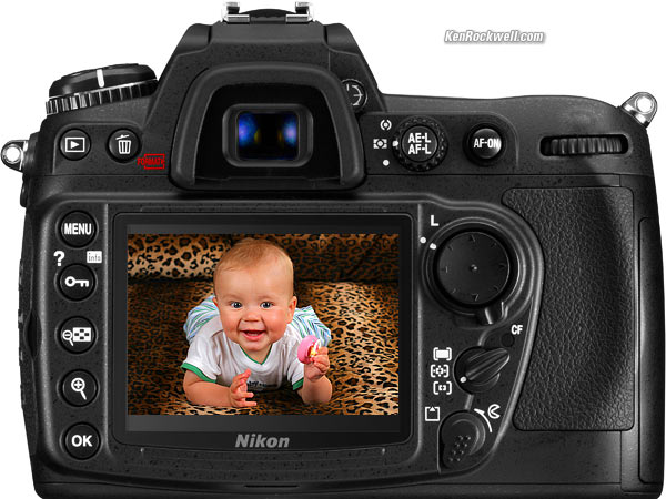 Nikon D300 Back