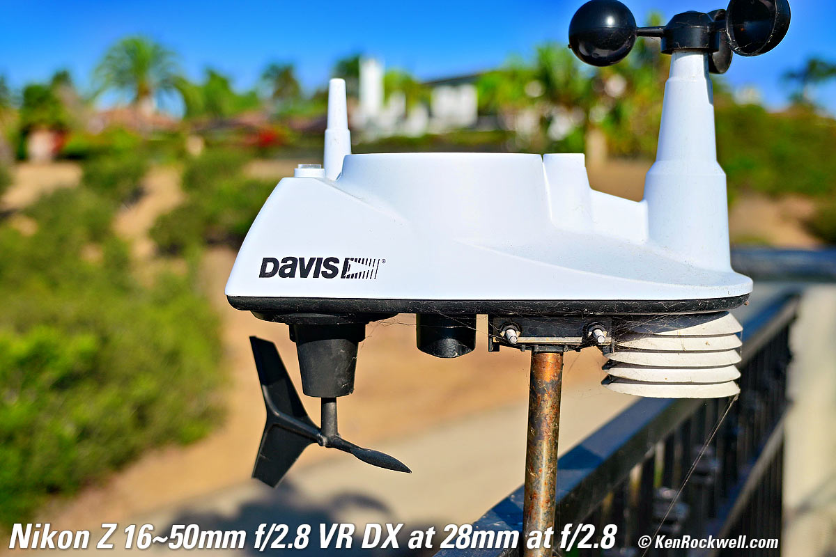 Nikon Z 16-50mm f/2.8 DX VR Bokeh Performance Sample Image File