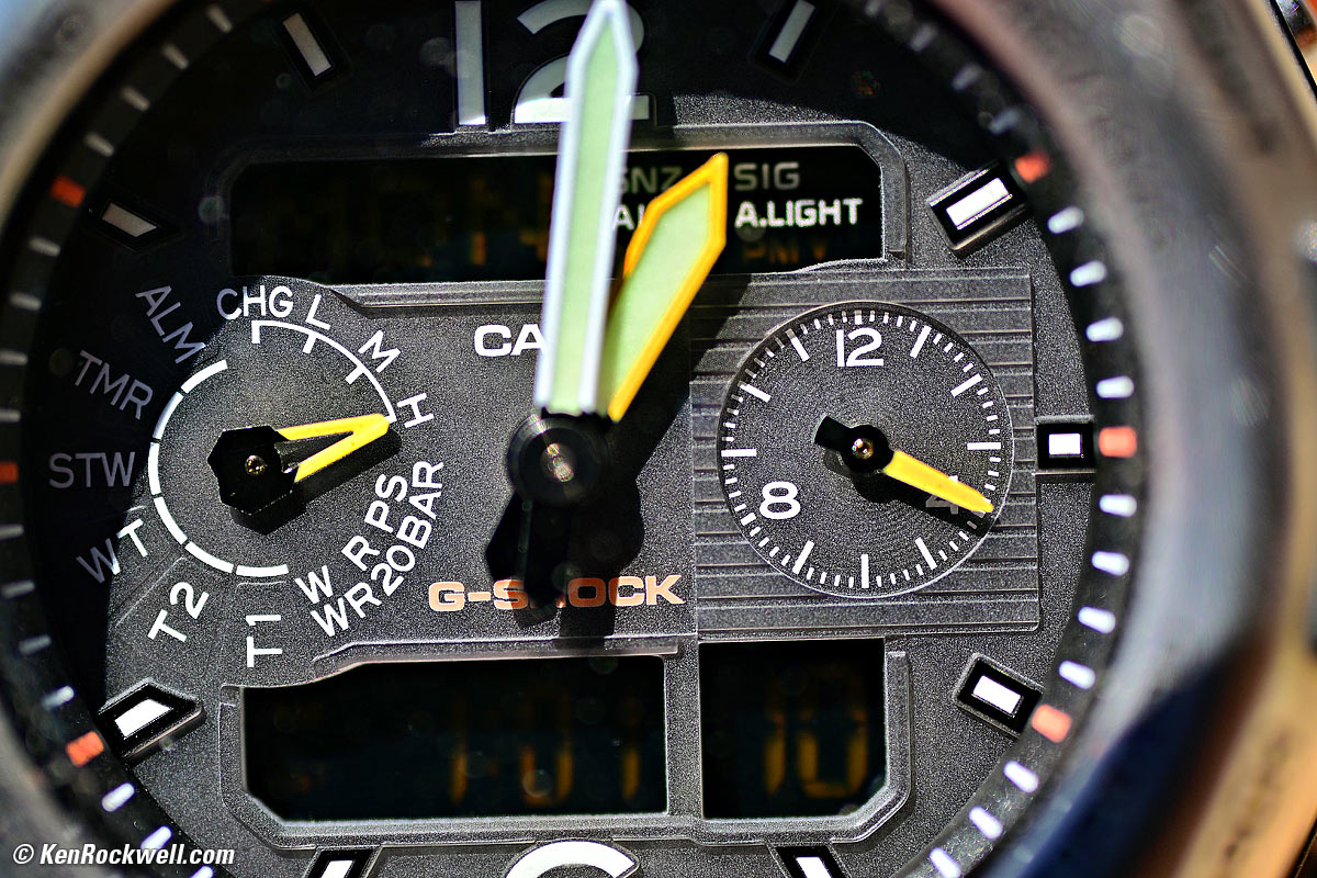 Nikon Z 35mm f/1.7 Macro DX Macro Performance