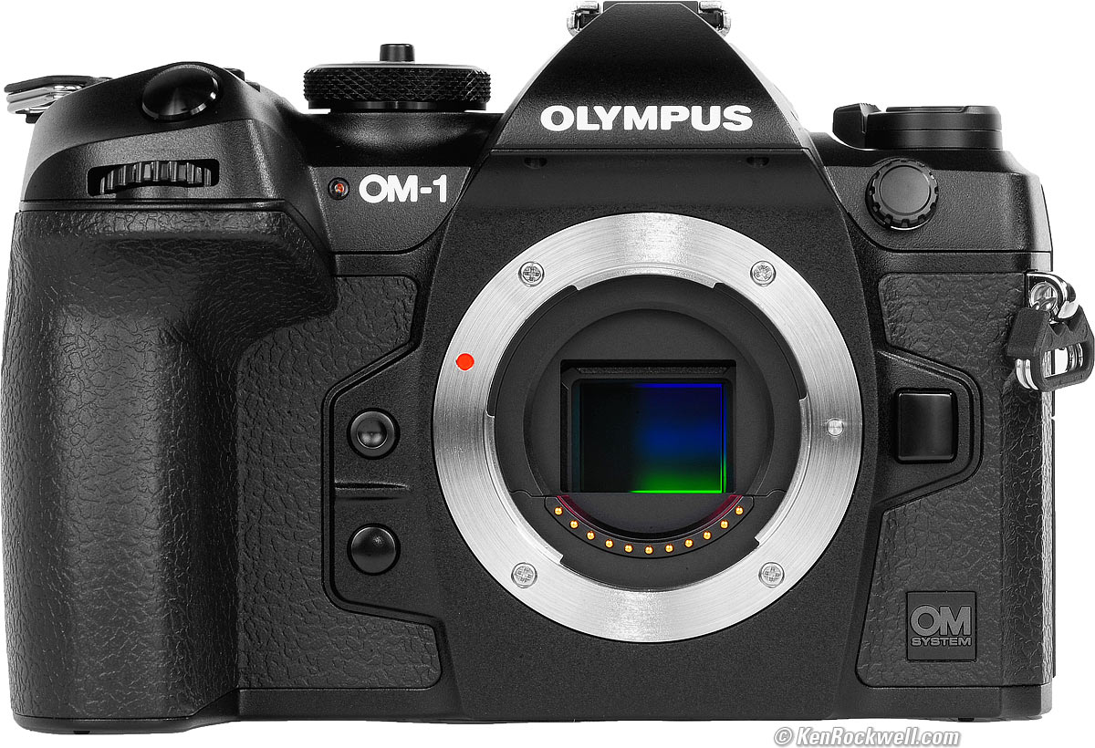 OM System OM-1 Review - Power in a small package 