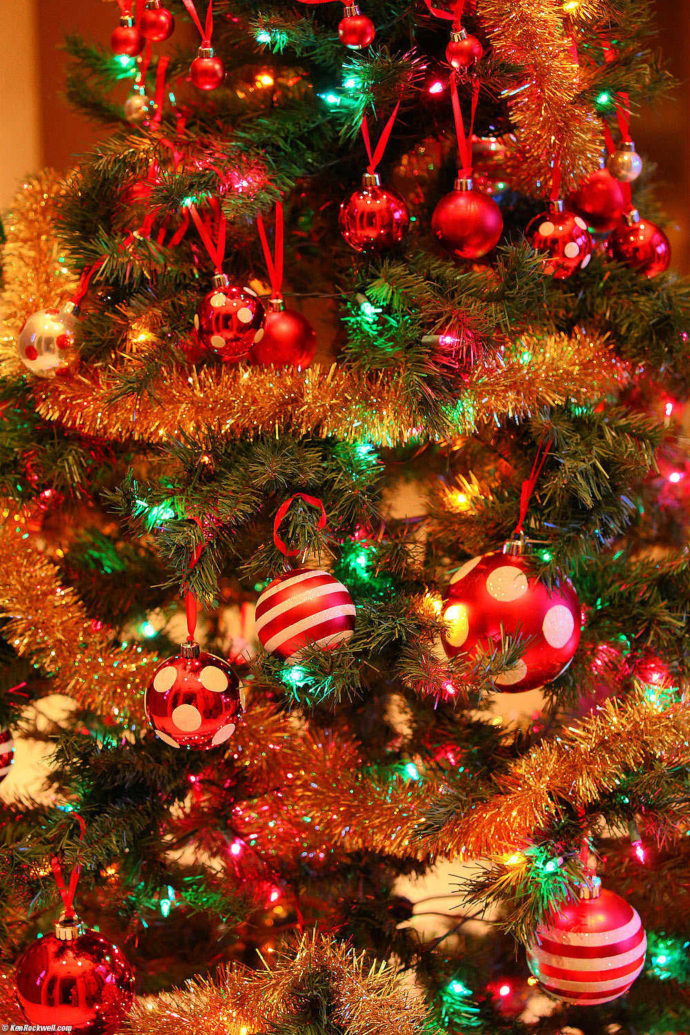 Christmas Tree, RP 20 Dec 2014