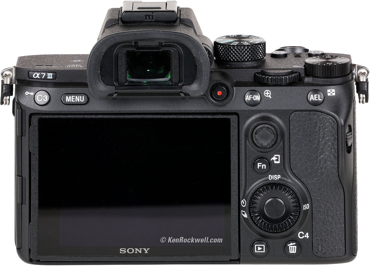 Extensive Sony A7III review (with pictures and details)