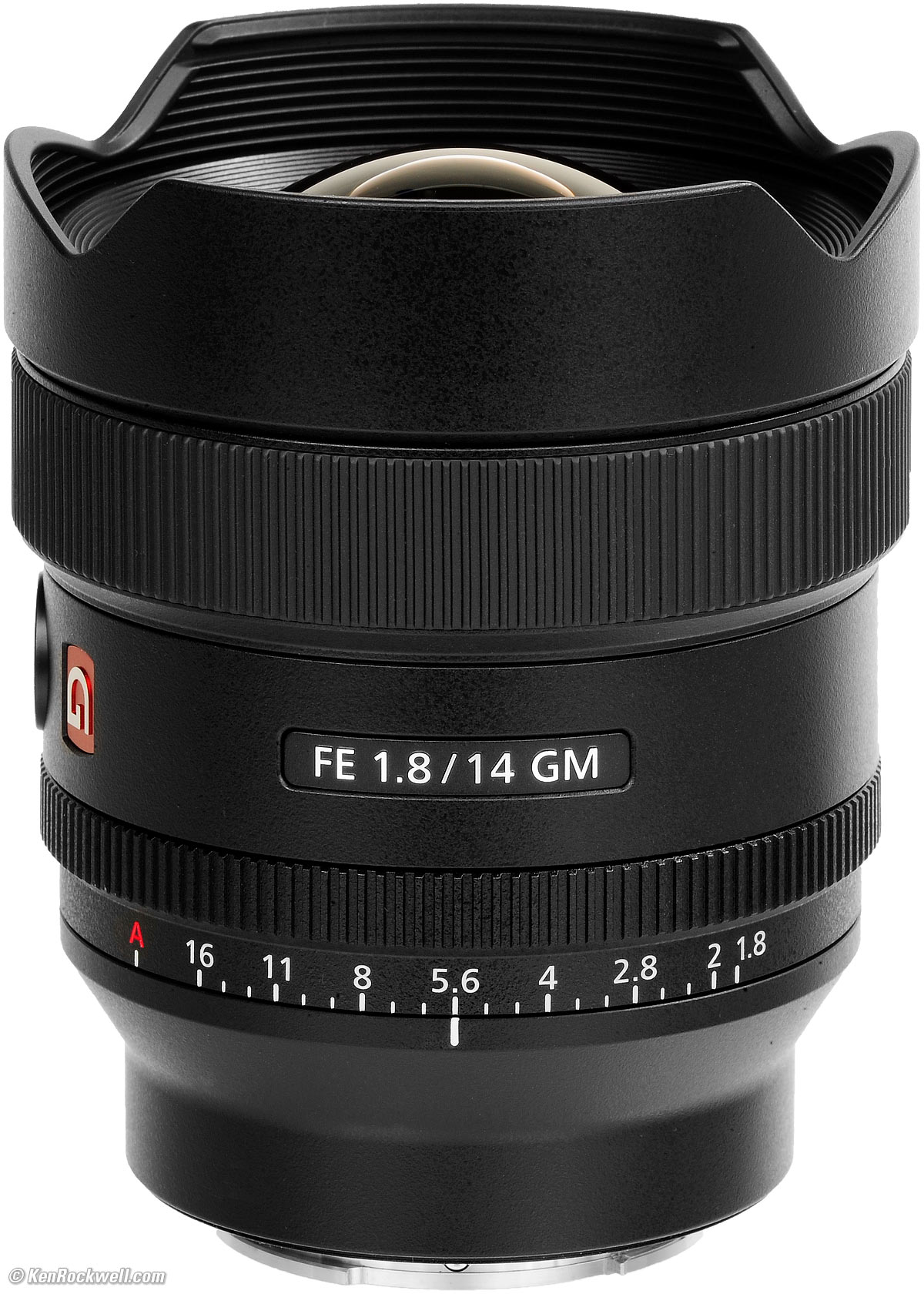 Size Comparison of FE 135mm f/1.8 GM w/ Sigma FE 135mm f/1.8, FE 24mm f/1.4  GM, FE 85mm f/1.4 GM Lenses
